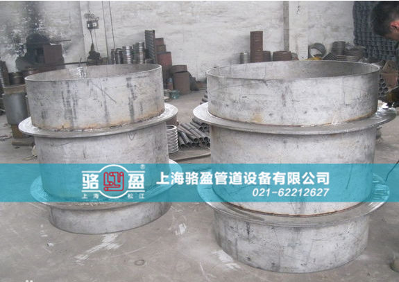 駱盈雙翼環(huán)<a href=http://www.m.dnaa.cn target=_blank class=infotextkey>防水套管</a>